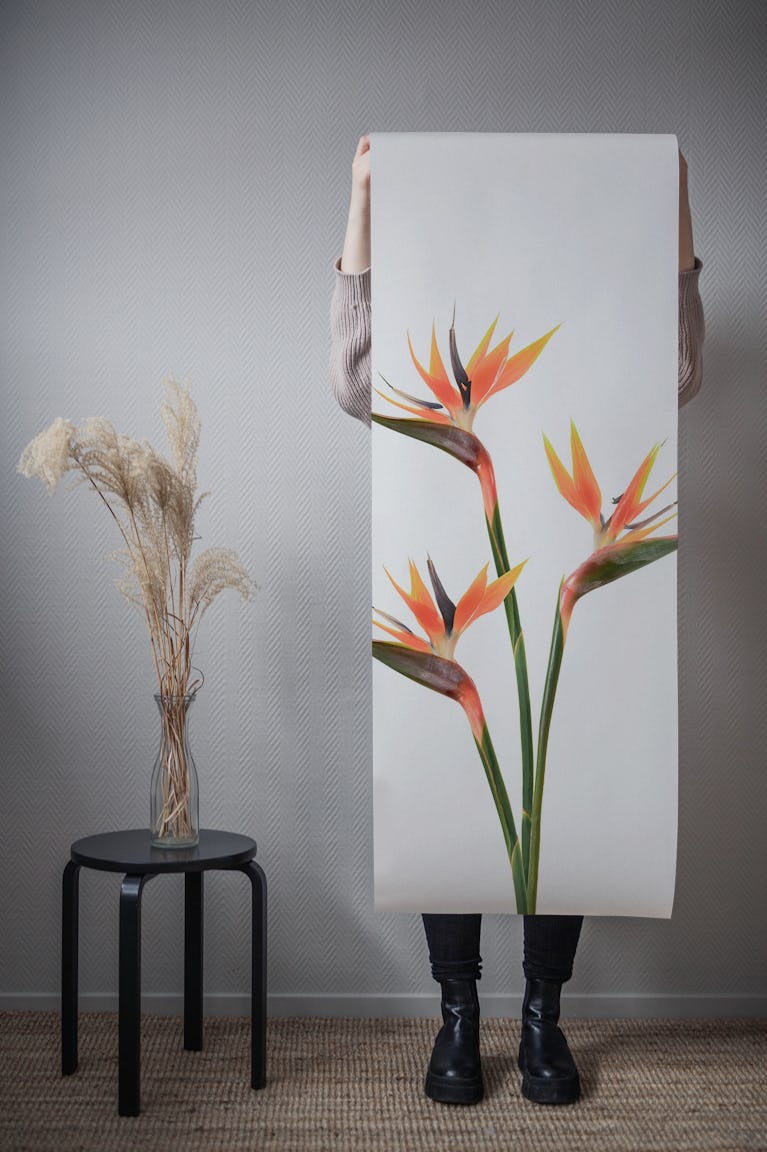 Bird of Paradise Blooms wallpaper roll