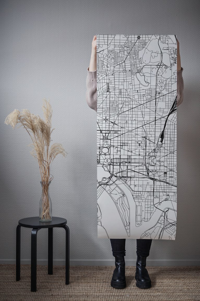 Washington DC Map wallpaper roll