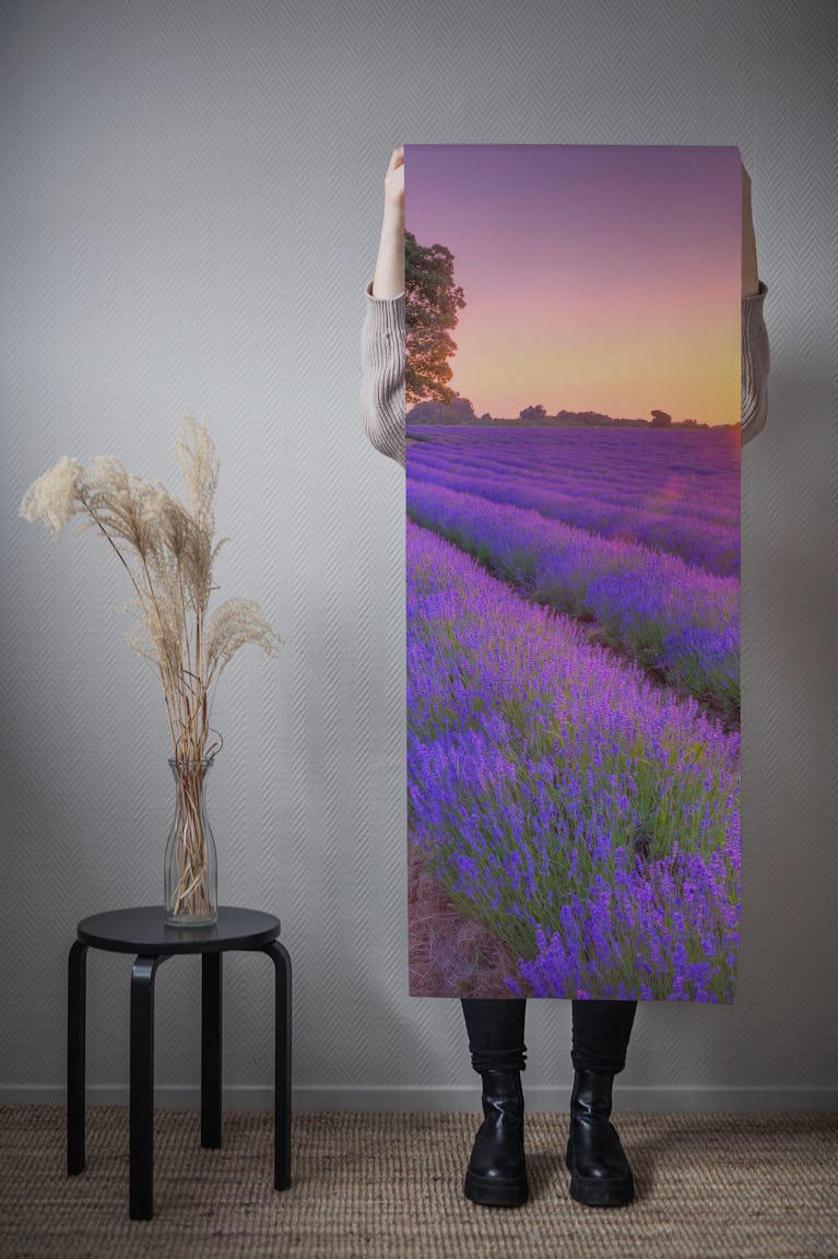 Lavender field at sunset wallpaper roll