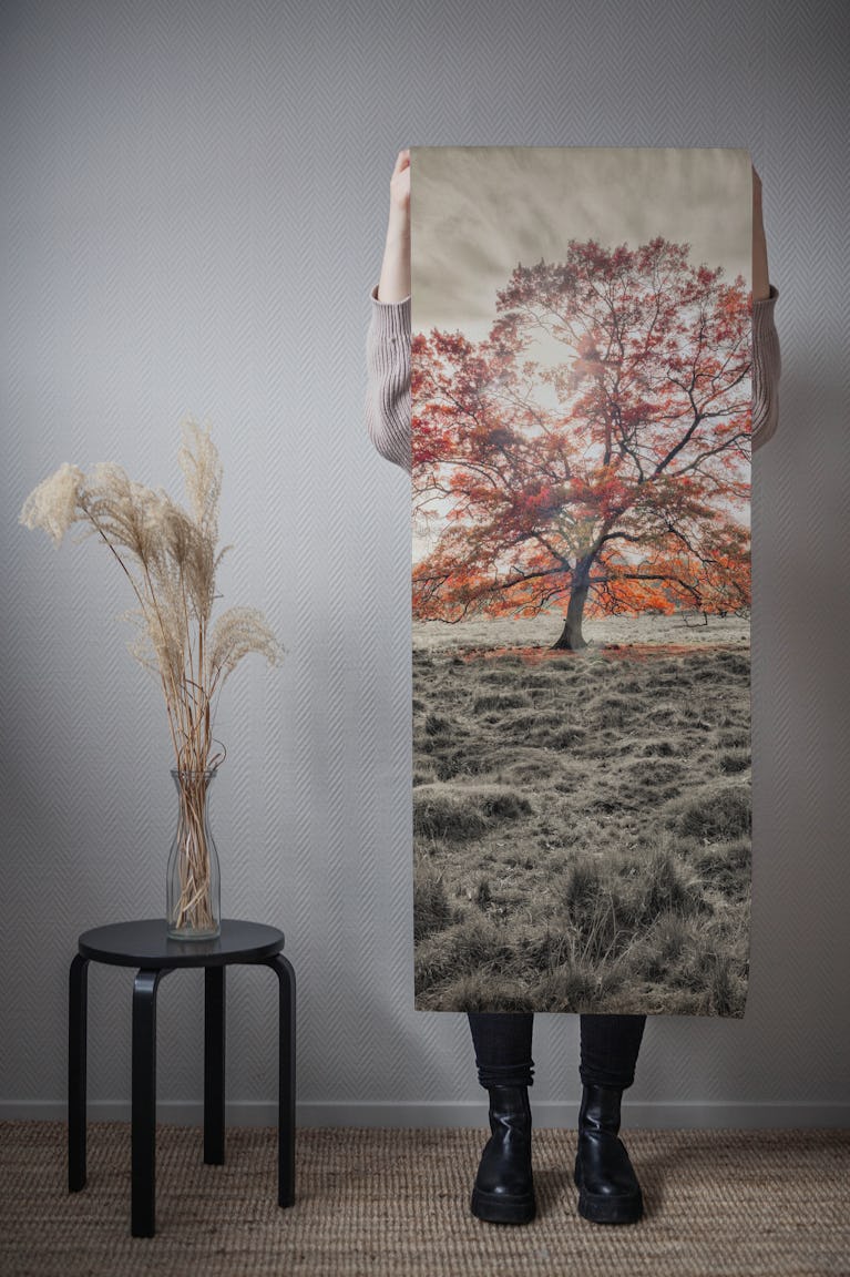 Single tree at autumn wallpaper roll