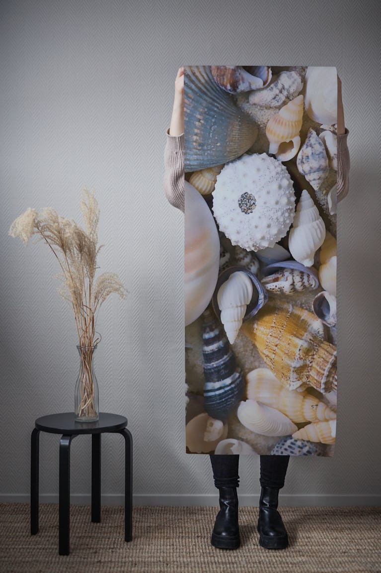Sea Shell Collection wallpaper roll
