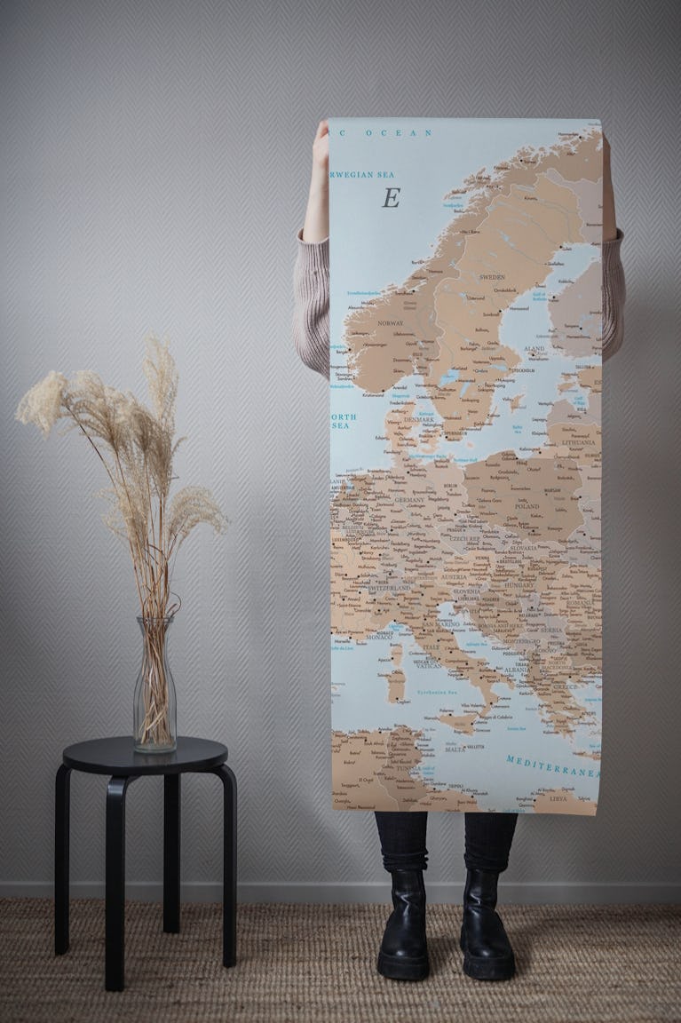 Detailed Europe map Niall wallpaper roll