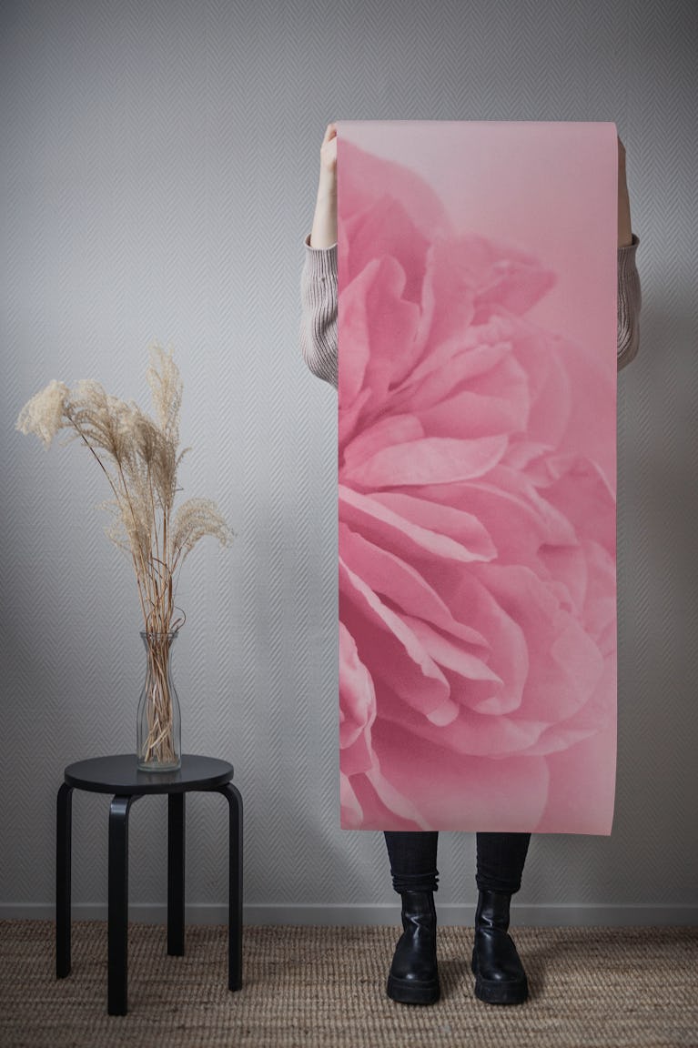 Light Pink Rose 1 wallpaper roll
