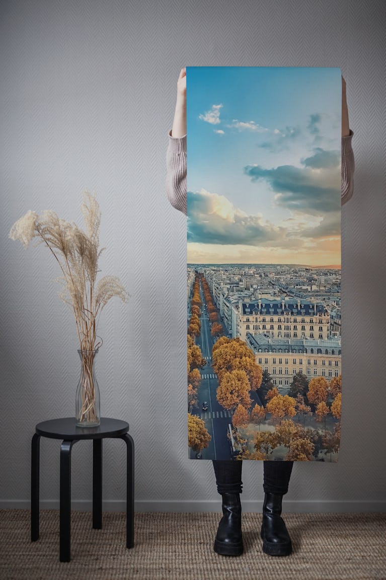Autumn In Paris City wallpaper roll