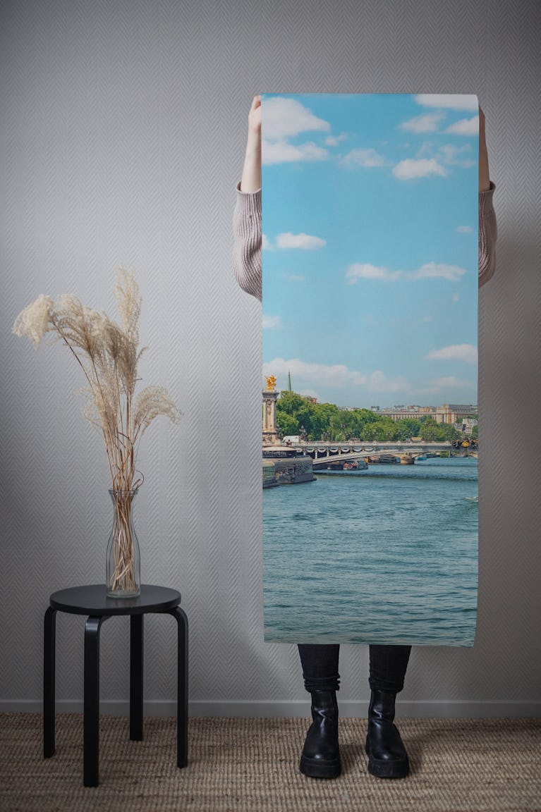 Seine River wallpaper roll