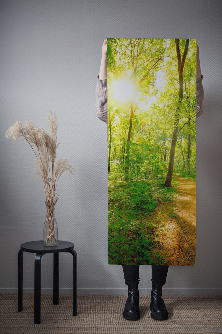Sunlit Forest Trail wallpaper roll