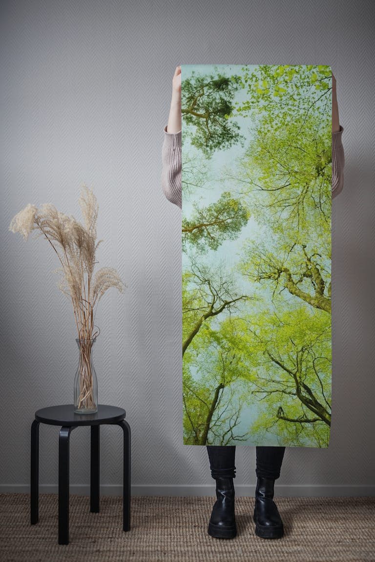 Spring treetops wallpaper roll