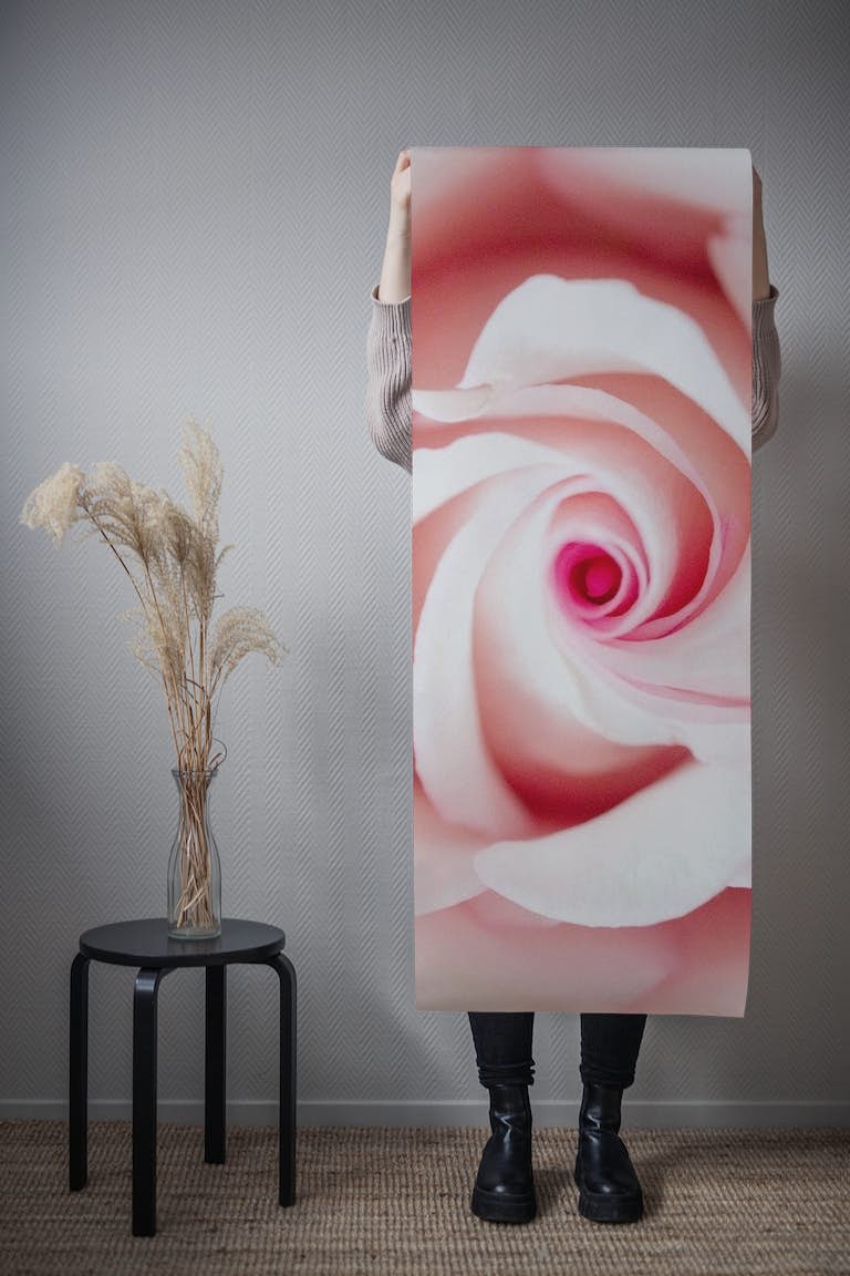 Blush Beauty Rose 1 wallpaper roll