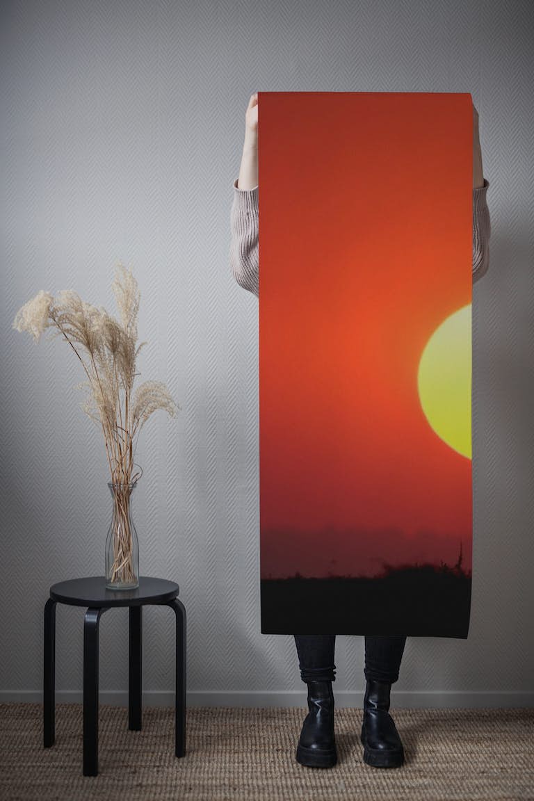 An African Sunset wallpaper roll
