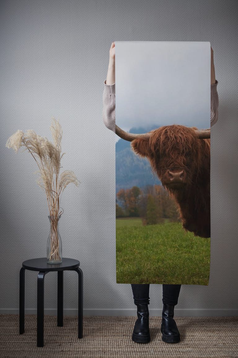Highland Cow 2 wallpaper roll