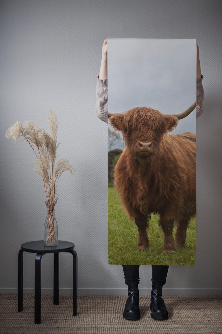 Highland Cow 4 wallpaper roll