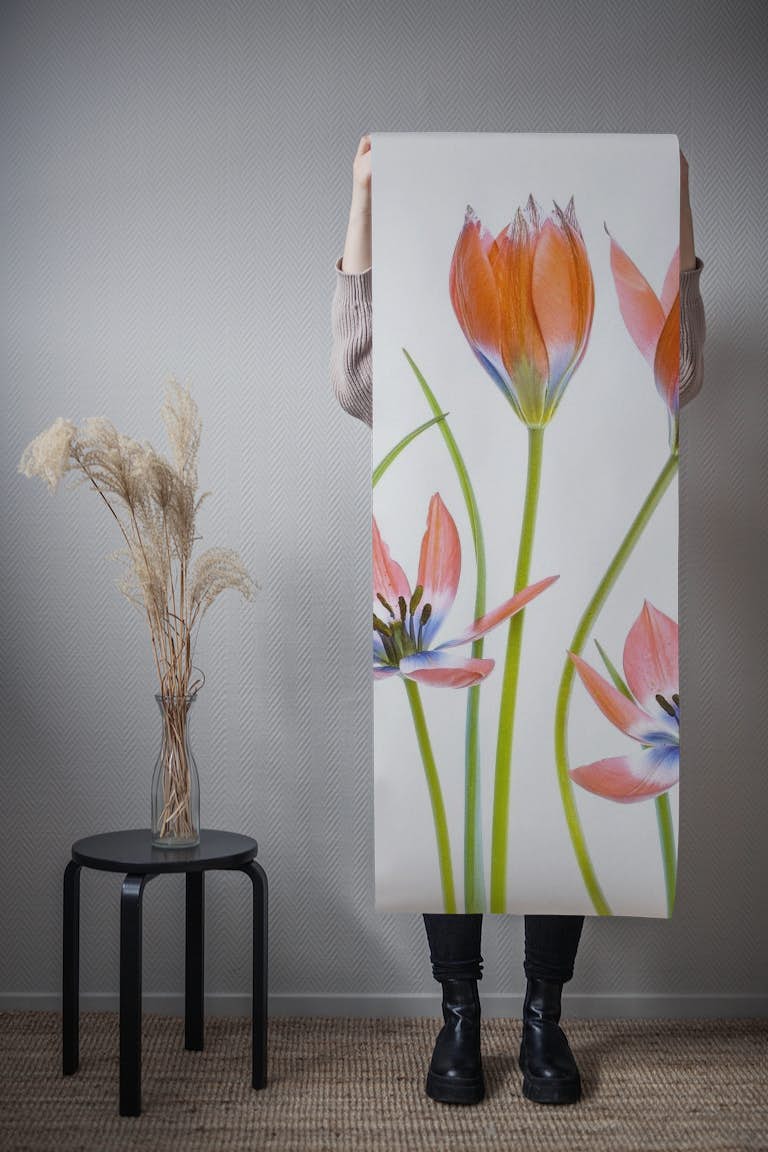 Apricot Tulips papiers peint roll