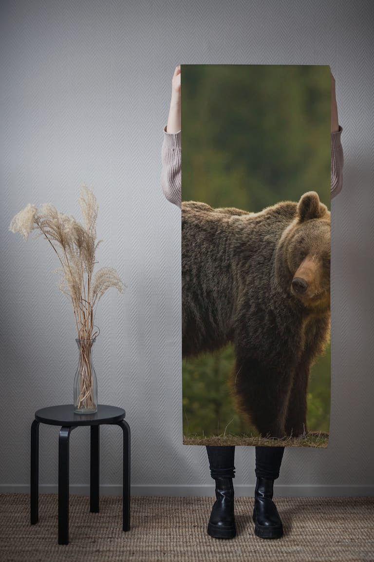 Backlit bear wallpaper roll
