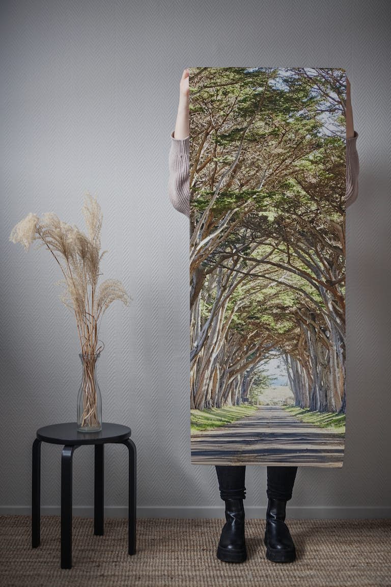 Cypress Tree Tunnel tapetit roll