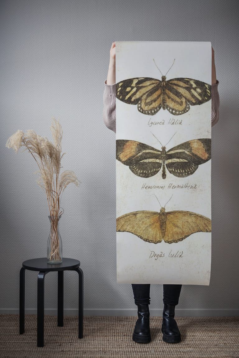 Butterflies VIII papel de parede roll