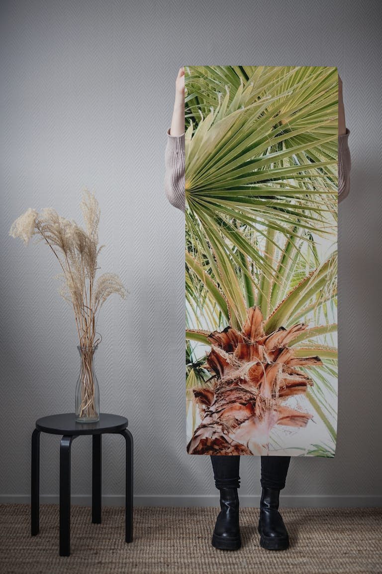 Morning Jungle Palms wallpaper roll