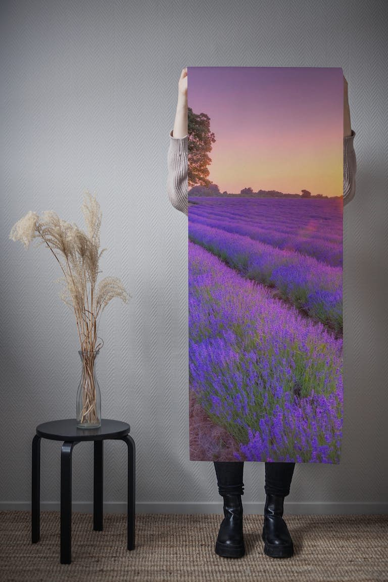 Lavender field at sunset behang roll