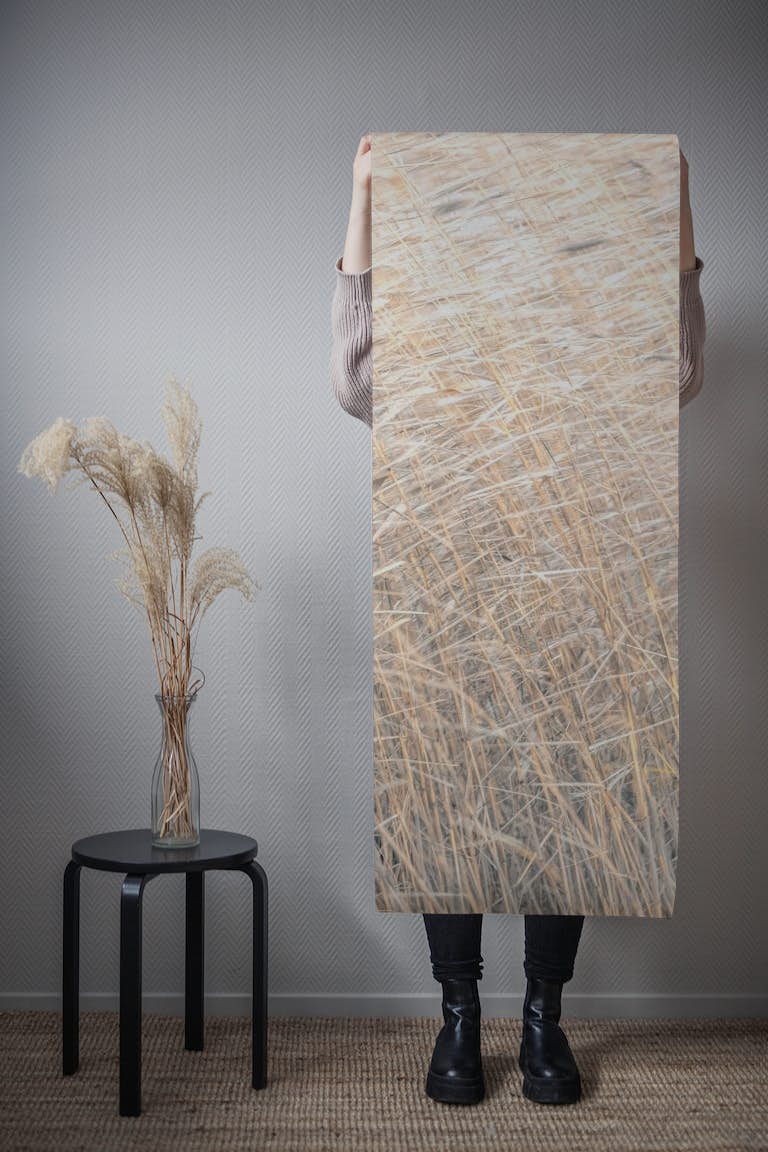 Brown reeds growing in water wallpaper roll