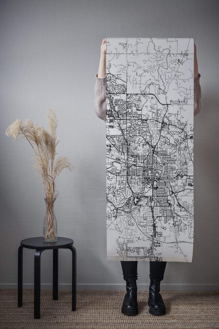 Rochester Map wallpaper roll