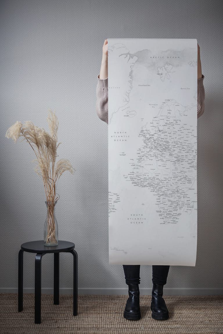 Detailed world map Xandi papel de parede roll