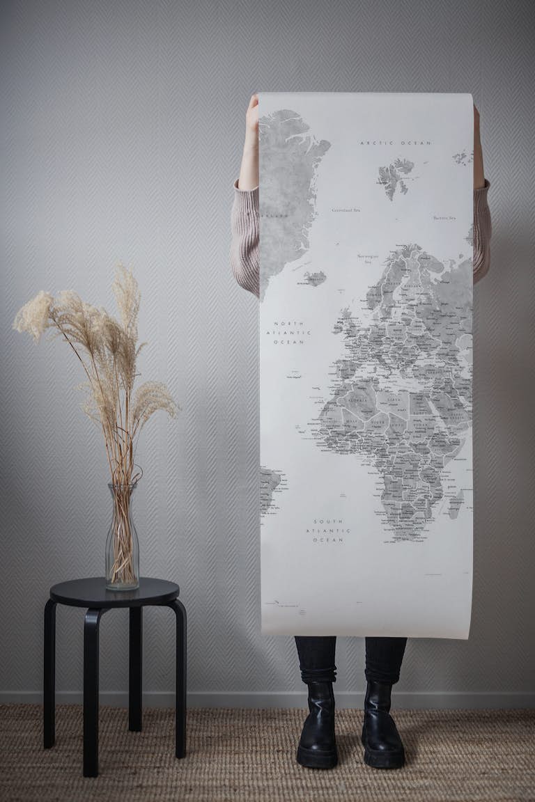 Deailed world map Jimmy wallpaper roll