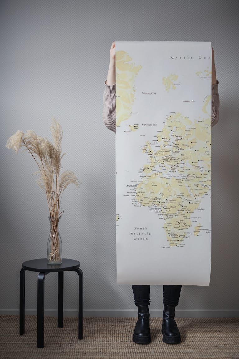 Remi world map with cities papiers peint roll