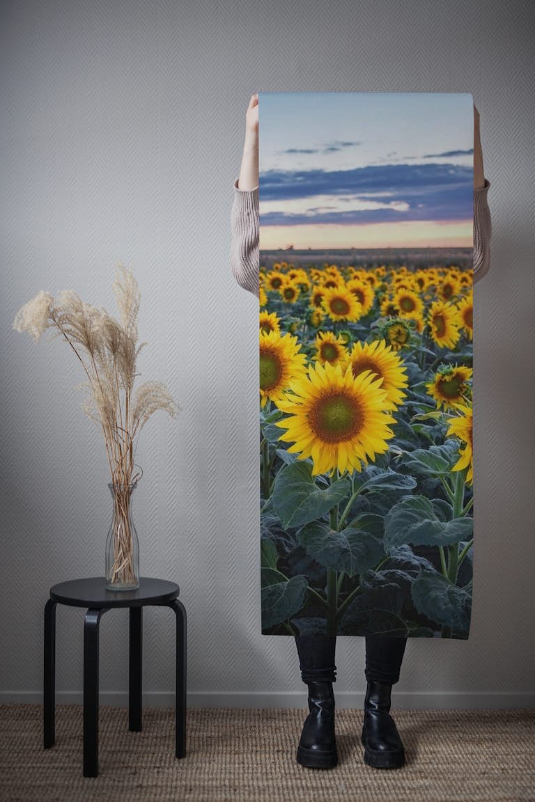 Sunflowers Sun tapet roll