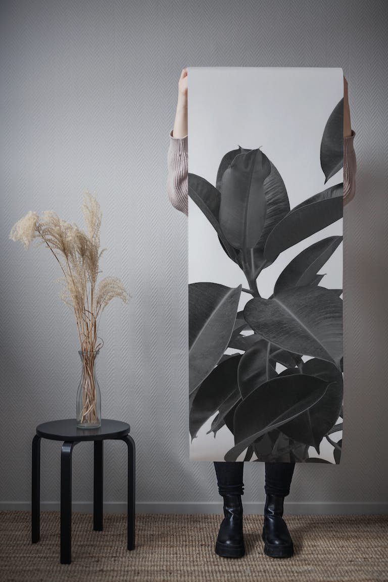 Ficus Elastica Glam 1 wallpaper roll