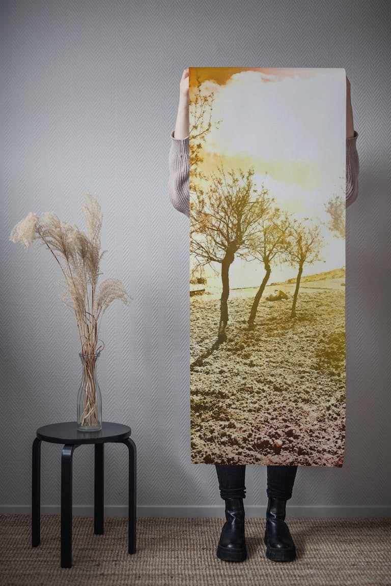 Golden Summer Trees wallpaper roll