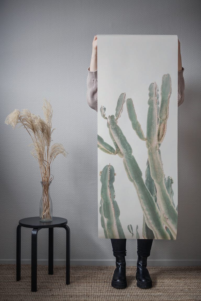 Sunset Cactus wallpaper roll