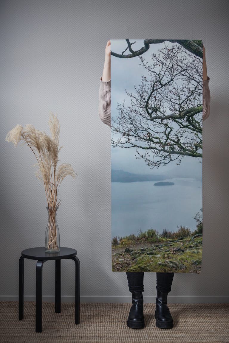 Lake District Moody View papel pintado roll