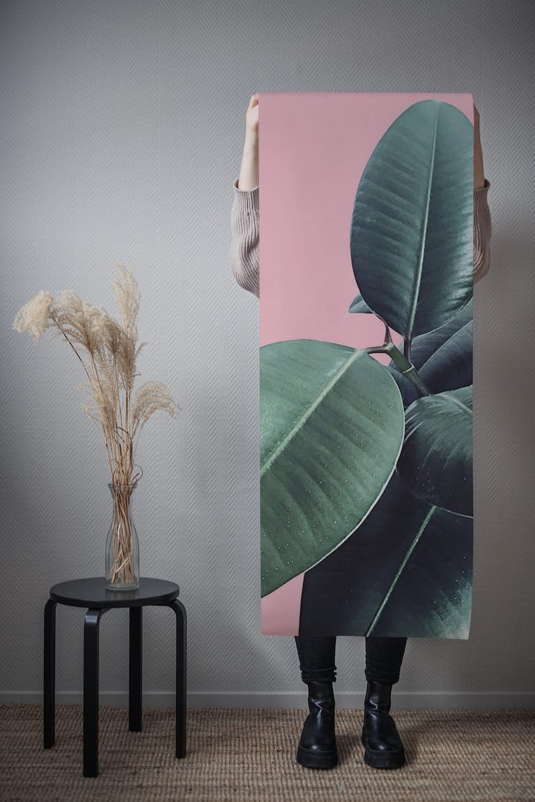 Ficus Elastica 14 wallpaper roll