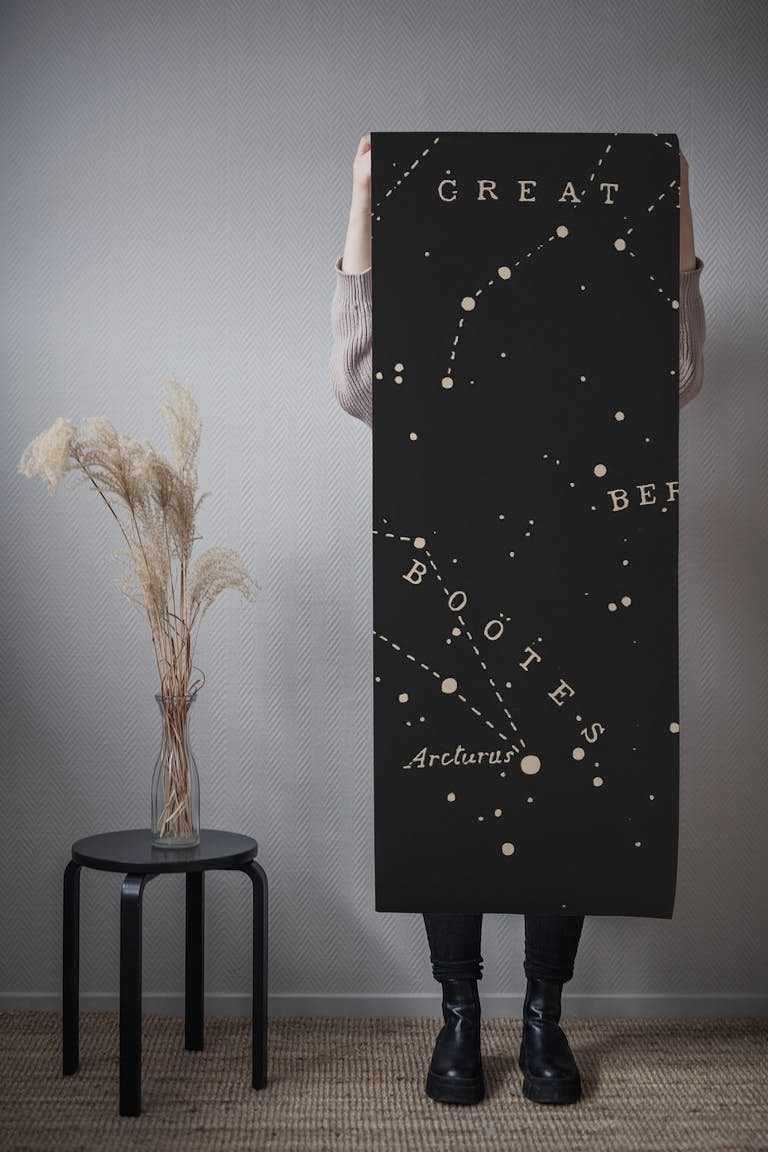 Constellation II - Aster papel pintado roll