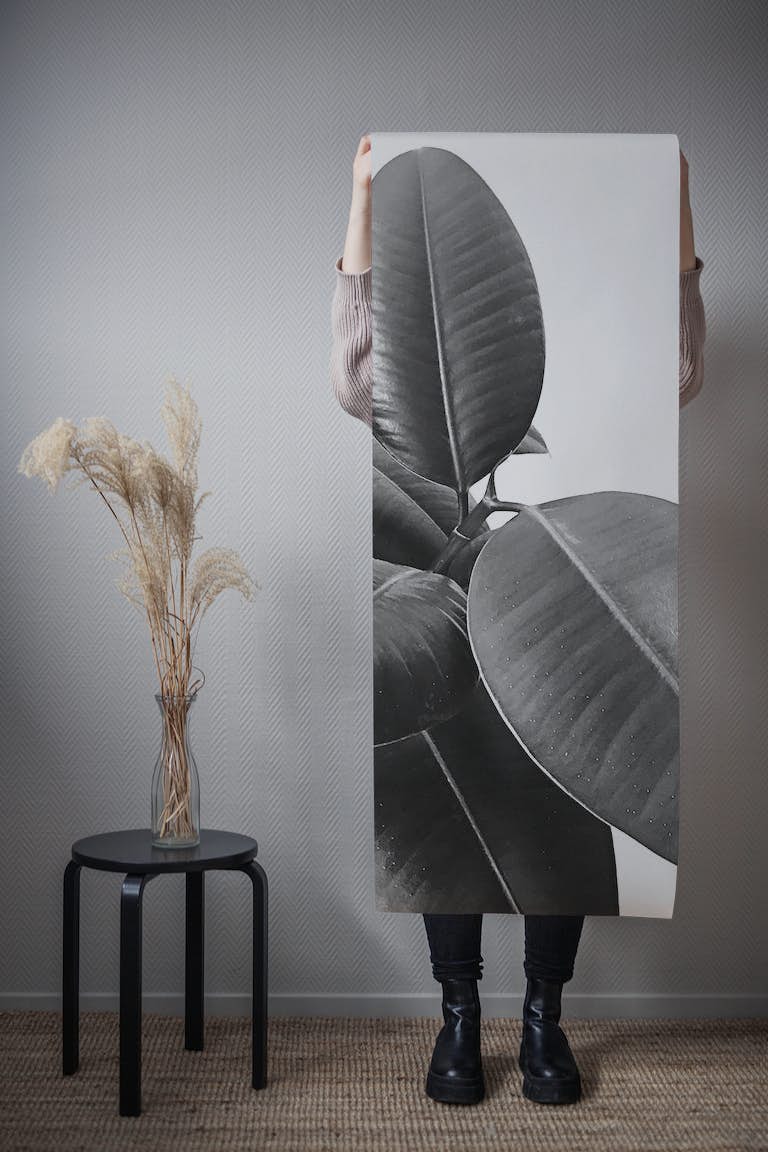 Ficus Elastica 21 wallpaper roll