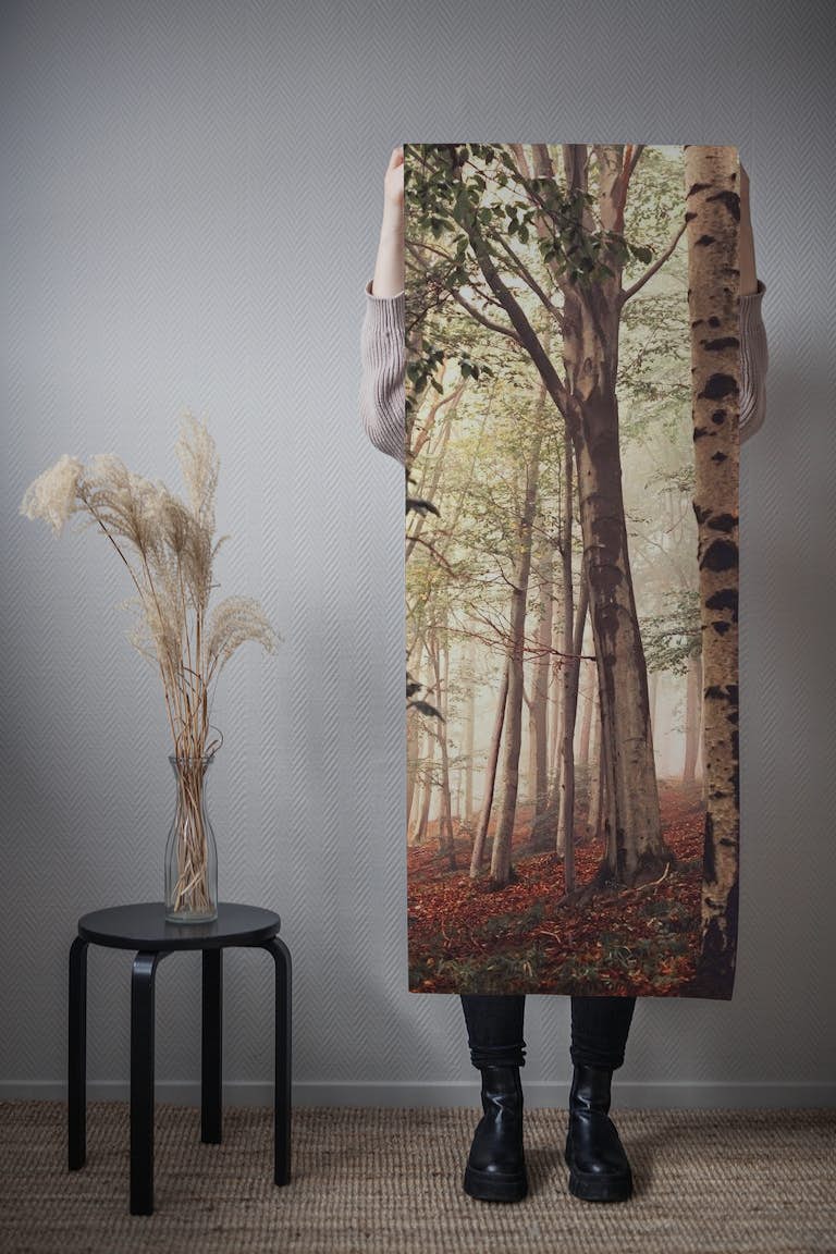 Birch Forest Beauty wallpaper roll