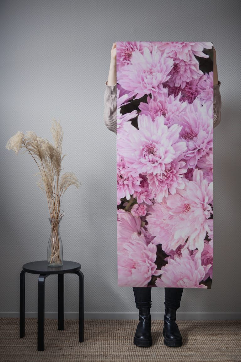 Light Pink Chrysanthemums 1 wallpaper roll