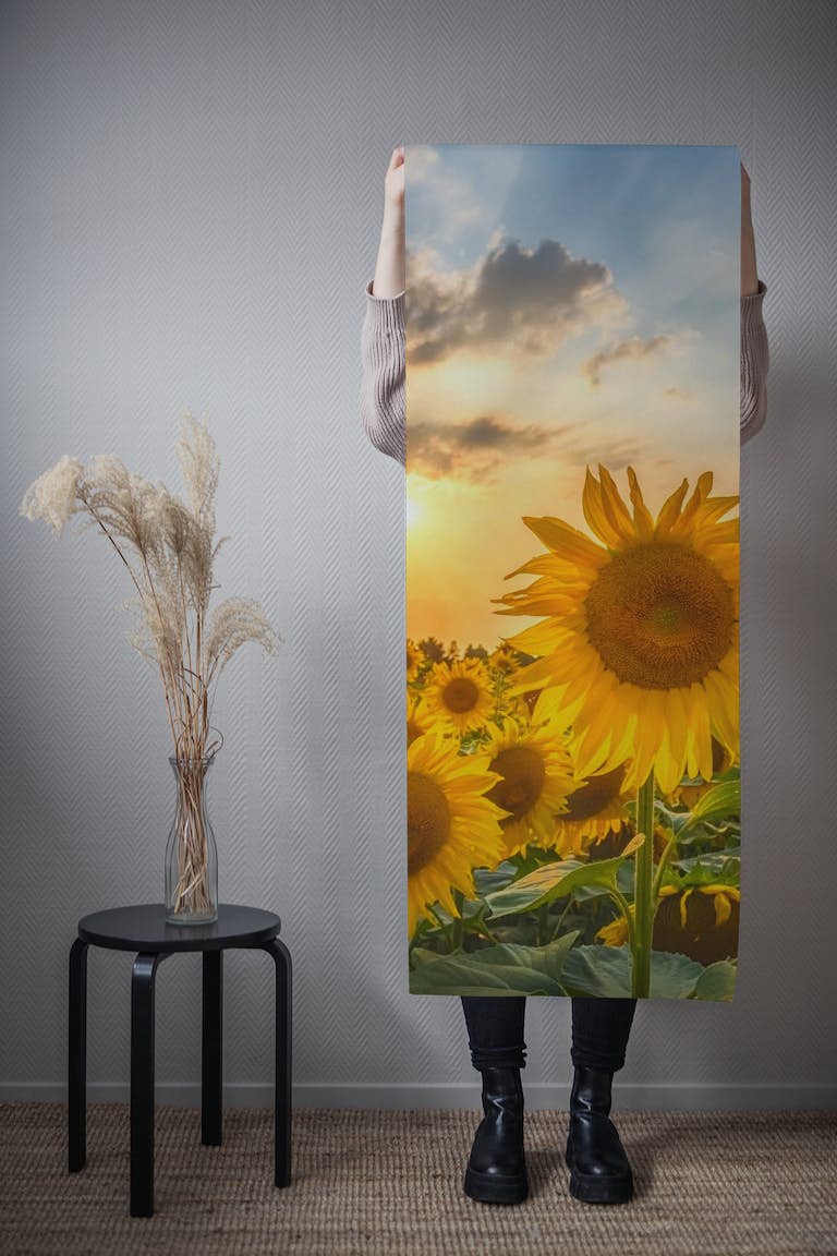 Sunflower field at sunset wallpaper roll
