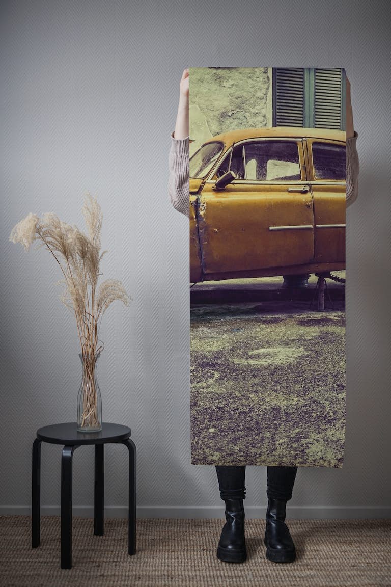 Old car/cat behang roll