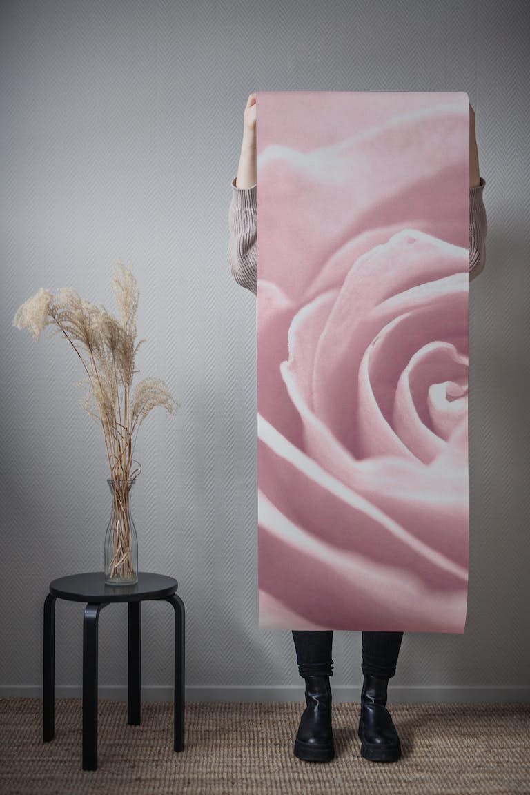 Soft Rose III wallpaper roll