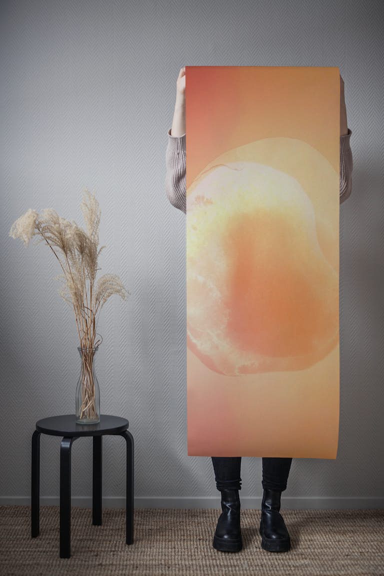 Nordic Sphere Warm Peach wallpaper roll