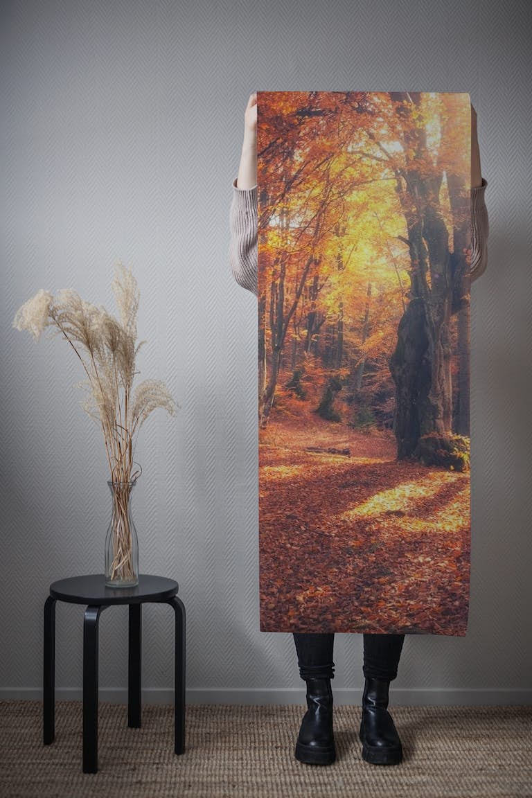 Autumn Forest 8 behang roll