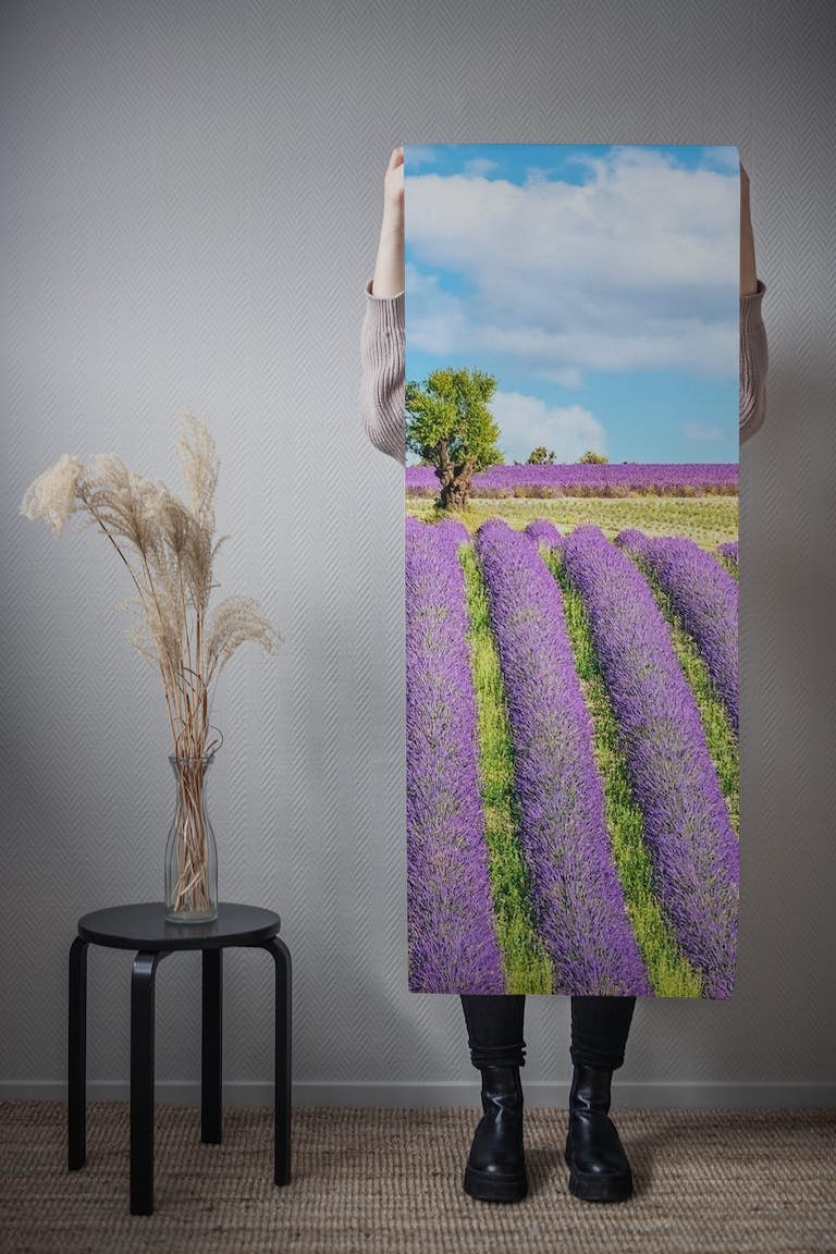 Provence Field papel de parede roll