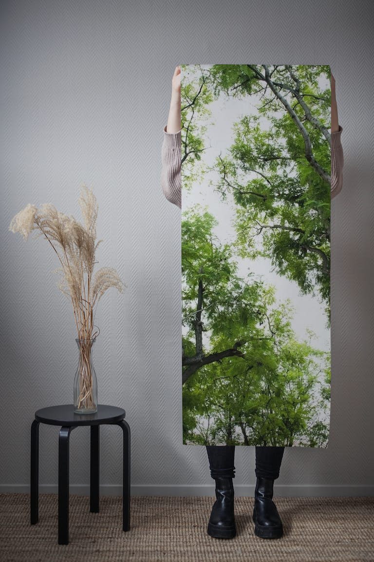 Green Trees Dream 1 wallpaper roll