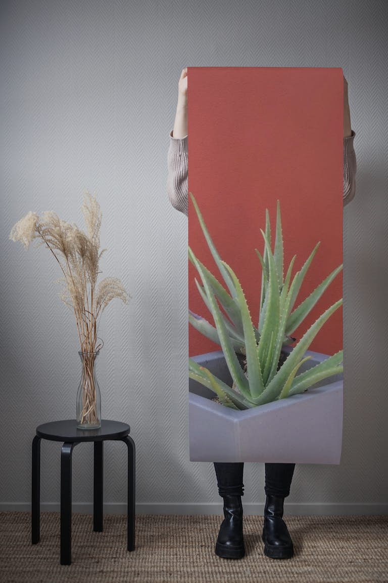 Aloe Vera in a Pot 1 wallpaper roll