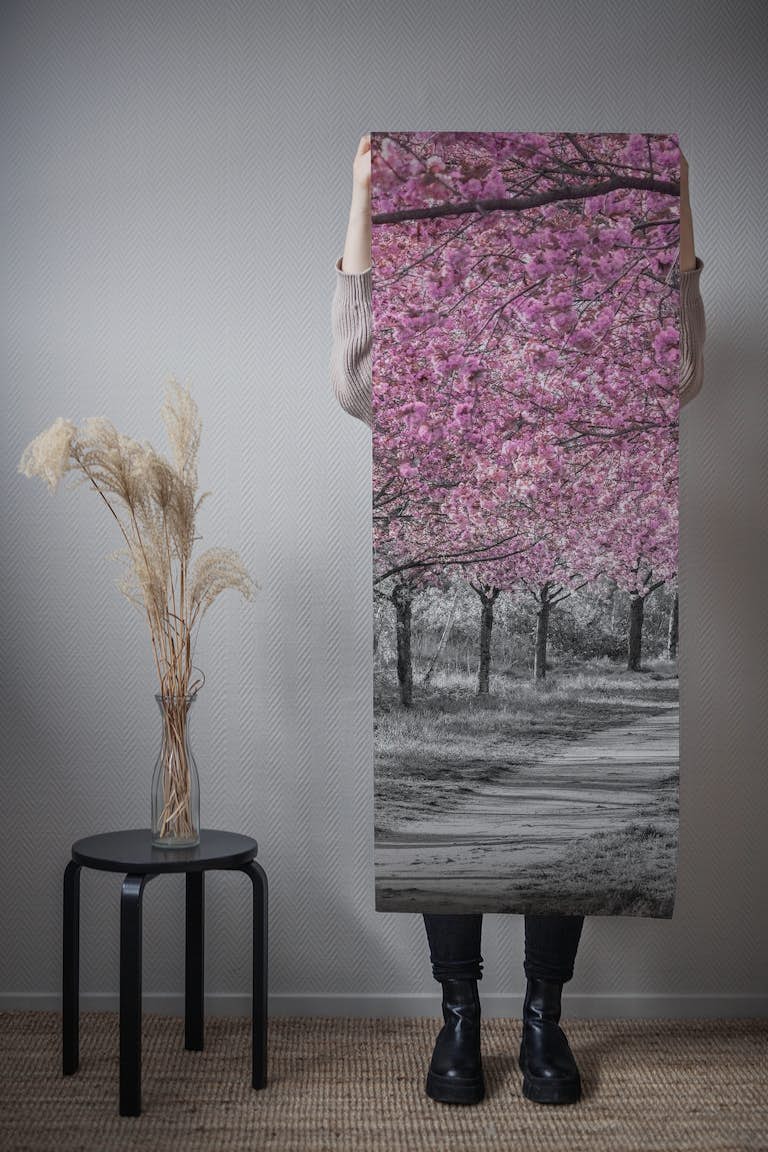 Charming cherry blossom path behang roll