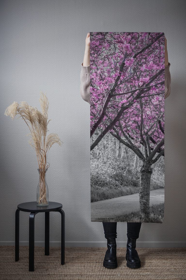 Cherry blossom alley in pink tapeta roll