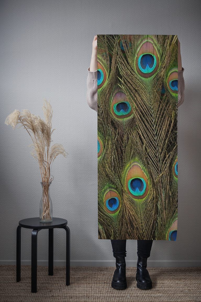 Peacock Feathers papel de parede roll