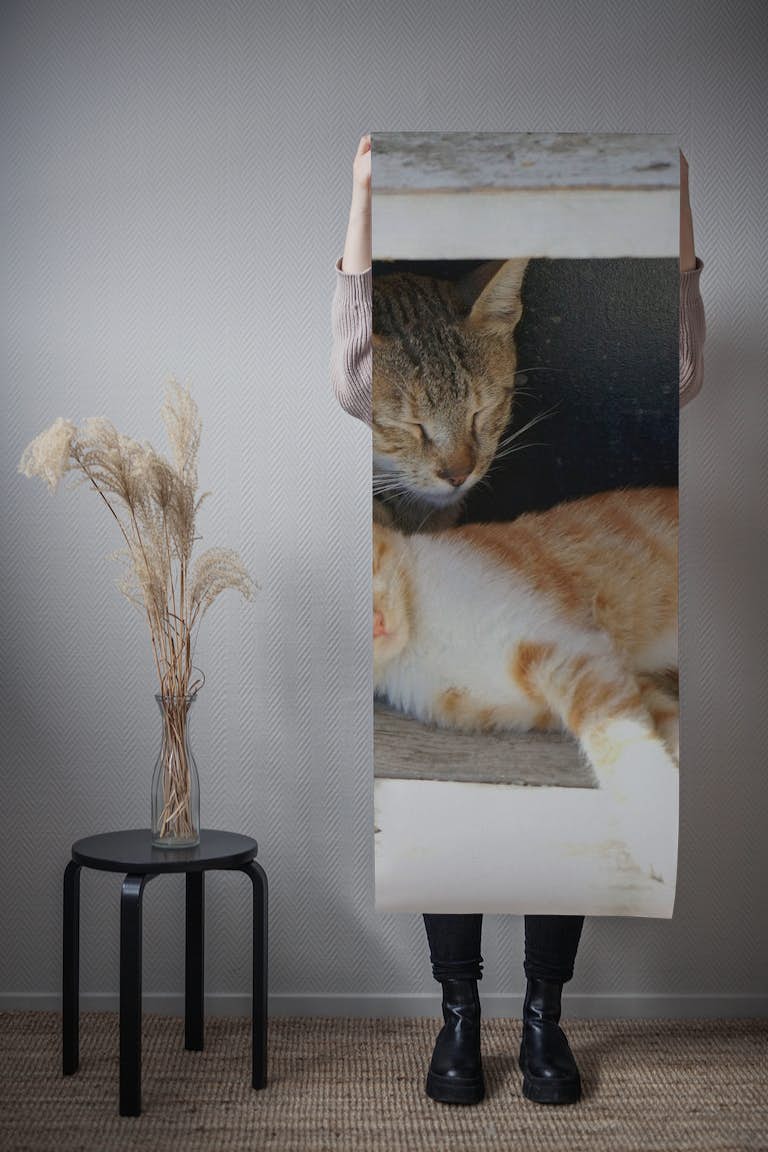 Dreaming Kitty Cats papel de parede roll