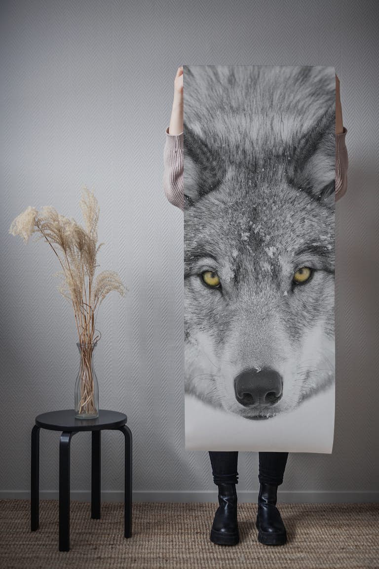 Yellow eyes   Timber Wolf papel de parede roll