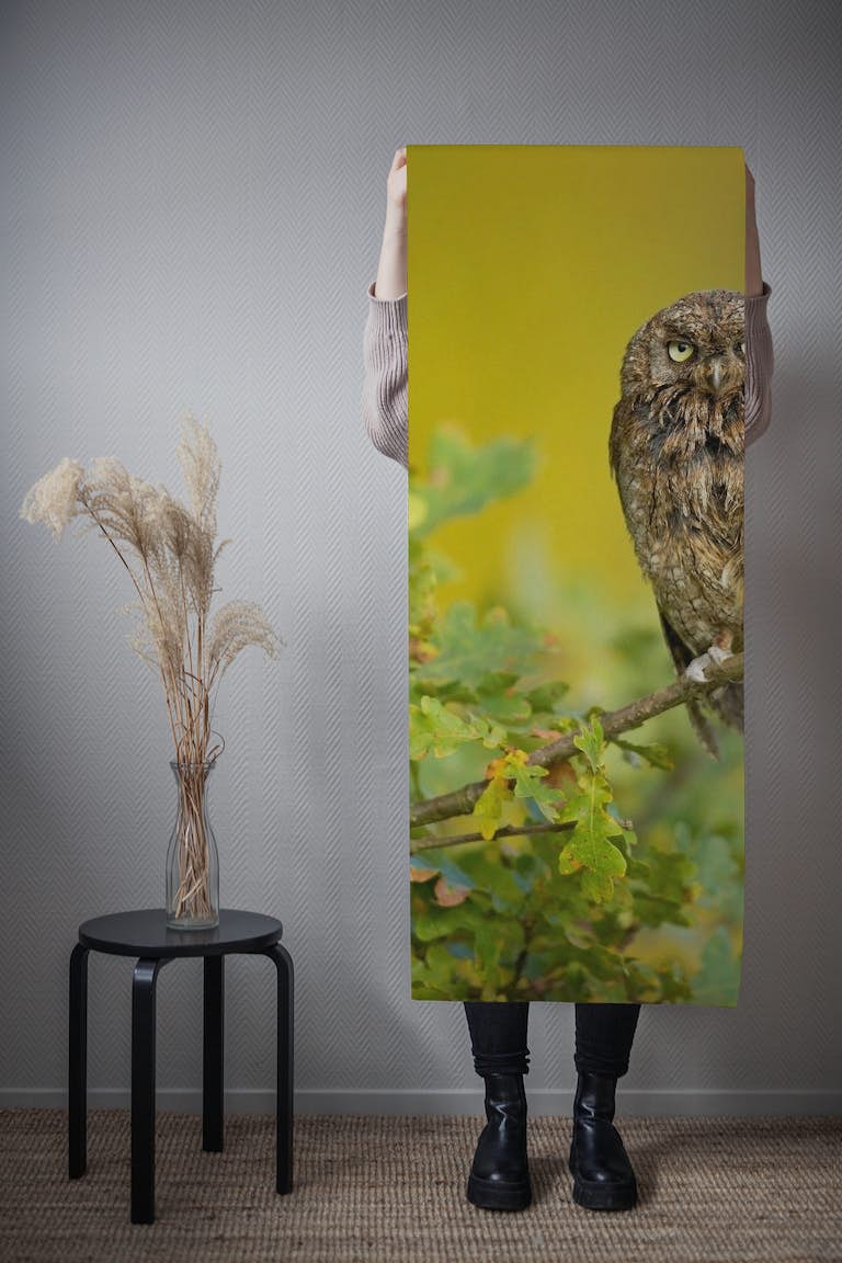 Eurasian Scops Owl wallpaper roll